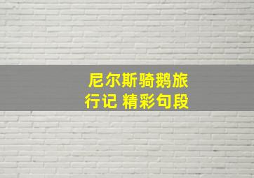 尼尔斯骑鹅旅行记 精彩句段